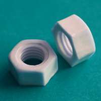 Plastic Phenylenesulfide PPS Hexagon Nut Plastic Screw Nut